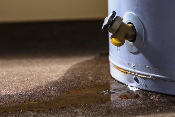 Best Sewage cleanup and water damage restoration  in Mshall, AR