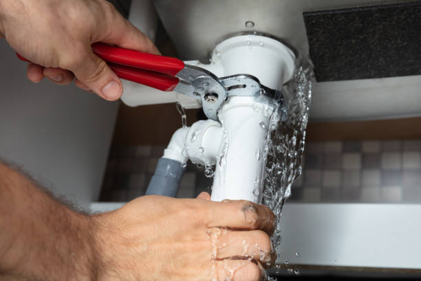 Best Mold removal after water damage  in Mshall, AR