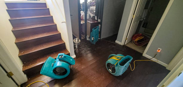 Best Water damage contractors near me  in Mshall, AR