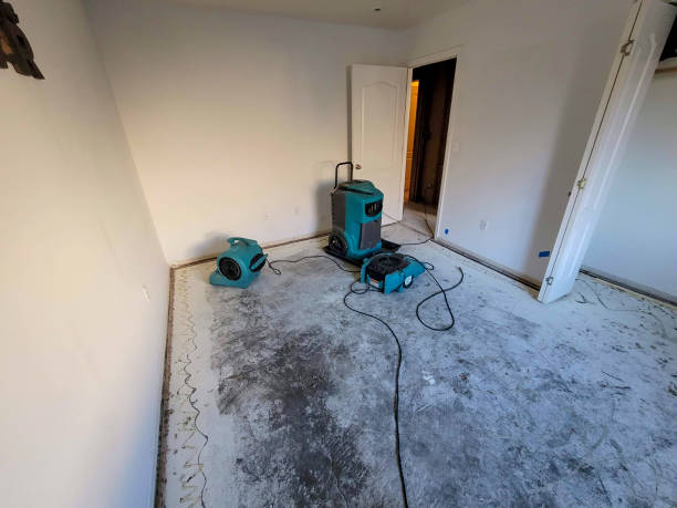 Best Water damage restoration near me  in Mshall, AR