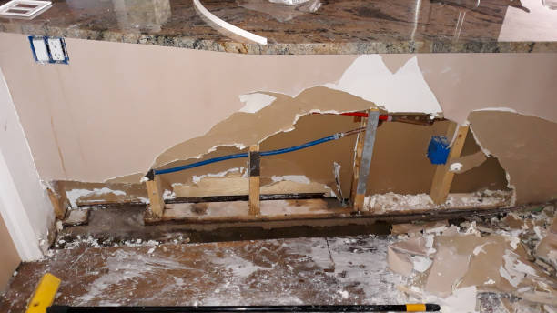 Best Water damage restoration mold remediation  in Mshall, AR