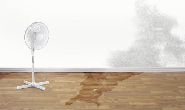  Mshall, AR Water damage restoration Pros