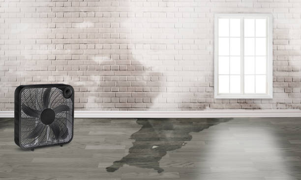 Water damage restoration mold remediation in AR