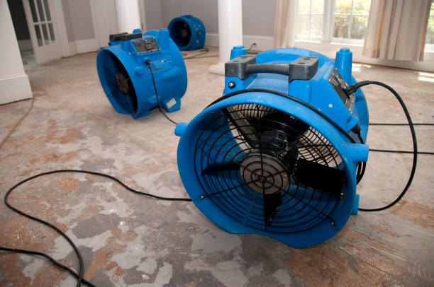 Best 24/7 water damage repair  in Mshall, AR