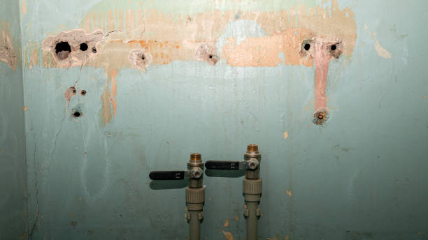 Best Professional water damage repair  in Mshall, AR