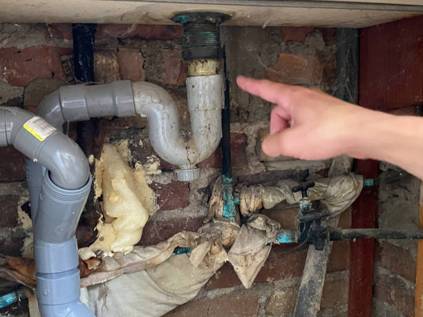 Best Flood damage cleanup  in Mshall, AR