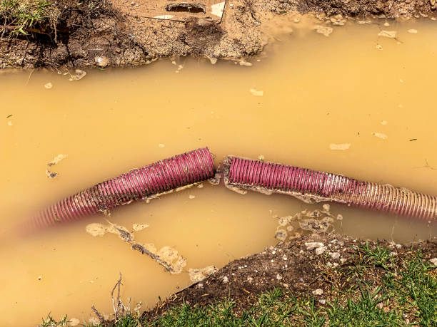 Carpet water damage restoration in AR
