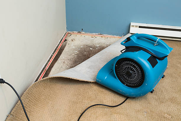 Reliable AR Water damage restoration Solutions